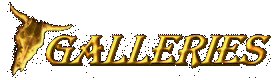 galleries.jpg (9875 bytes)