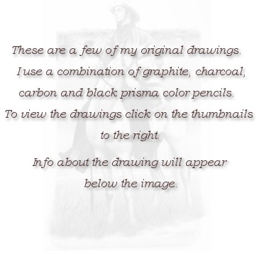 These are a few of my drawings.  I use a combination of graphite, charcoal, carbon and black prisma color pencils.  